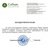 Аудит промышленной безопасности