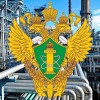 Госпошлина за лицензию РТН отменена до 2029 г.