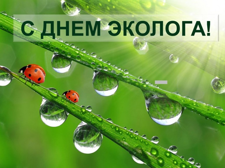 С днем эколога!