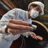 Ростехнадзор отменяет перегруппировку опасных производственных объектов